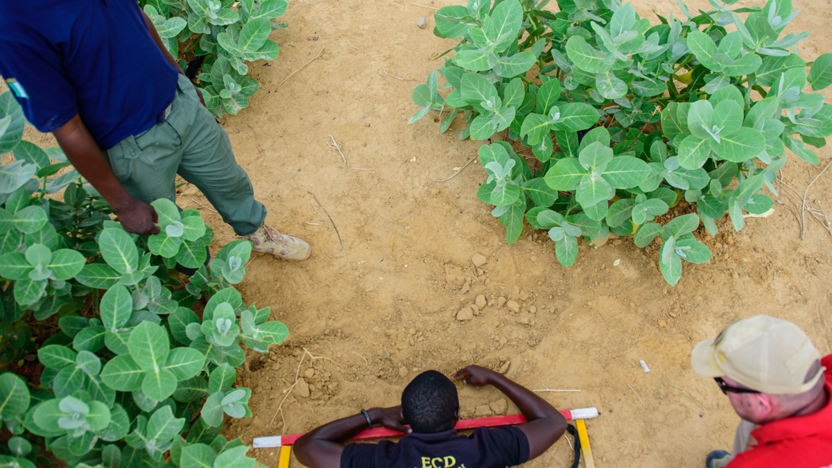 A Nigerian police officer demonstrates a manual search drill to locate explosive ordnance as part of a German-funded UNMAS IED disposal training in Maiduguri State Capital, Borno State, Nigeria.