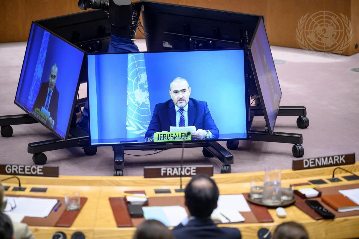 Ramiz Alakbarov (on screen), Deputy Special Coordinator