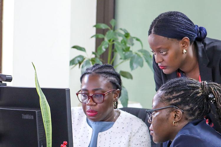 Three people are working together at a desk with computer monitors. One person is seated and typing, another is seated and looking at the screen, and a third person is standing and leaning forward to observe. A potted plant is visible in the background near a window with blinds.