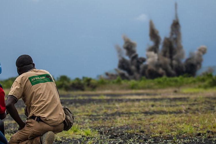 Mine action in the Democratic Republic of the Congo. Mine action in the Democratic Republic of the Congo