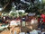 UNMAS provides a risk education session to sensitize workers and youth participants of the LONDO project funded by the World Bank in the Lobaye prefecture of the Central African Republic. Photo: UNMAS/Constantin Goundou