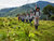 A mine action team, trained by UNMAS as part of its efforts to strengthen national demining capacity in Colombia, hikes to their work stations. ©️ UNMAS/Juan Arredondo