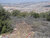 UNIFIL deminers have cleared hundreds of thousands of kilometres of land and destroyed thousands of landmines to support the UN Mission’s efforts to mark the Blue Line and to ensure the safety of local residents as well as the UN peacekeepers around 55 UN bases. Rmeish, south Lebanon. ©️ UNIFIL /Pasqual Gorriz