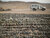 The presence of explosive ordnance threatens lives and impedes the safe return of internally displaced persons in Libya. © UNSMIL 