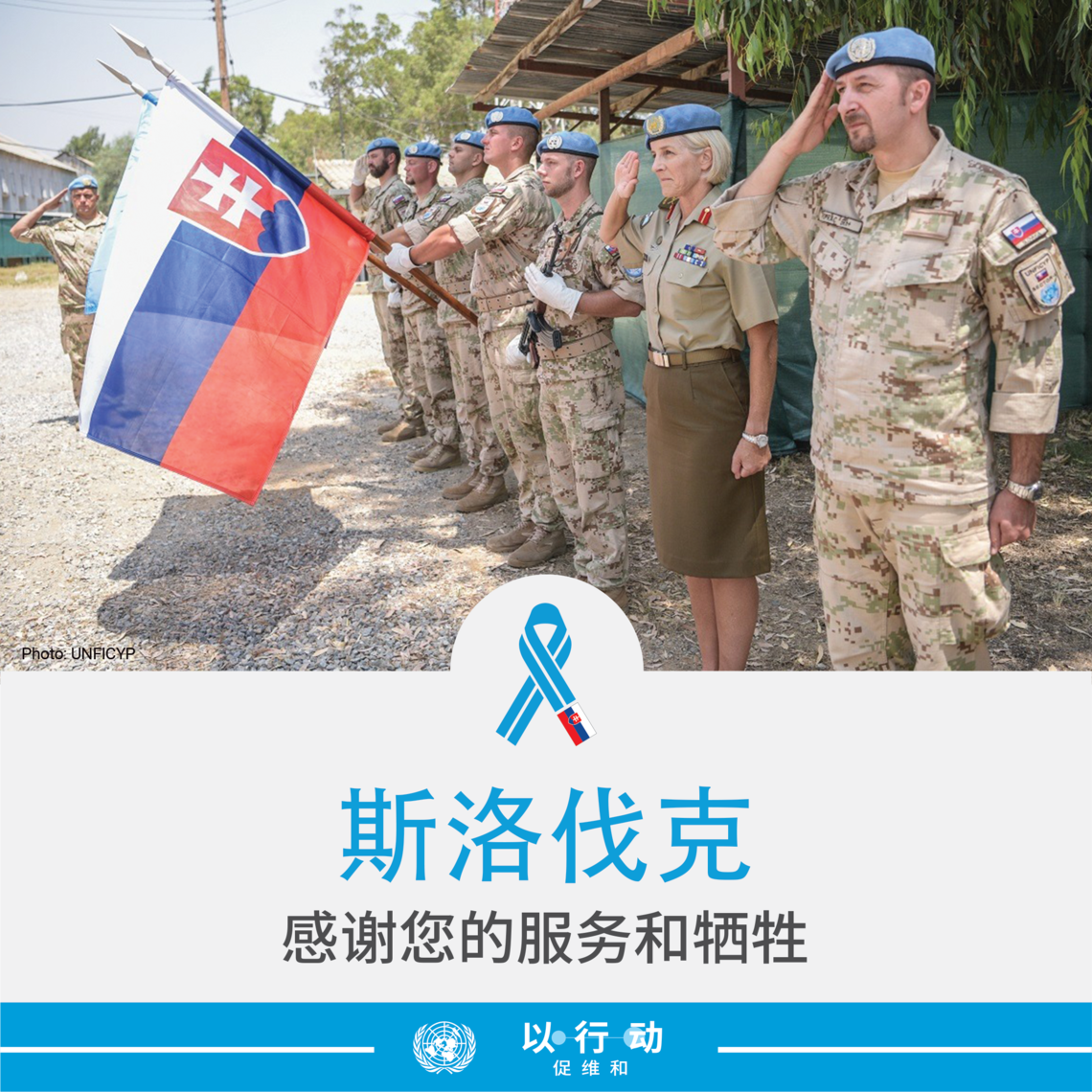 感谢斯洛伐克的服务和牺牲