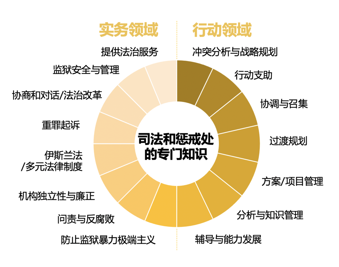 司法和惩戒处的专门知识