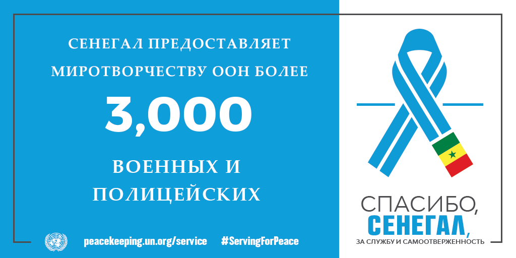 Спасибо, Сенегал, за службу и самоотверженность